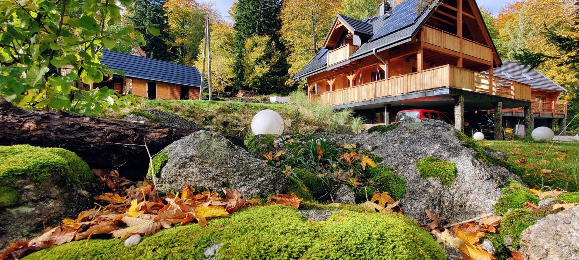 Dom Pod Lesniczowka Villa Zachelmie  Eksteriør bilde